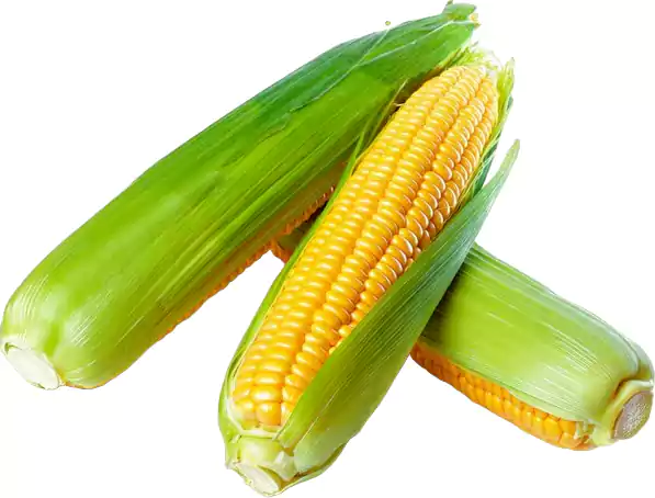 Pitaro Hortifruti - Foto ilustrativa